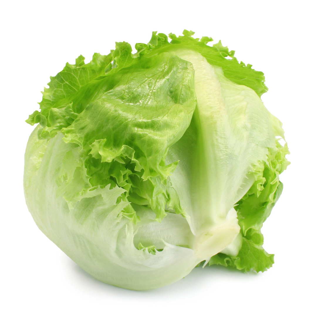 Fresh Iceberg Lettuce