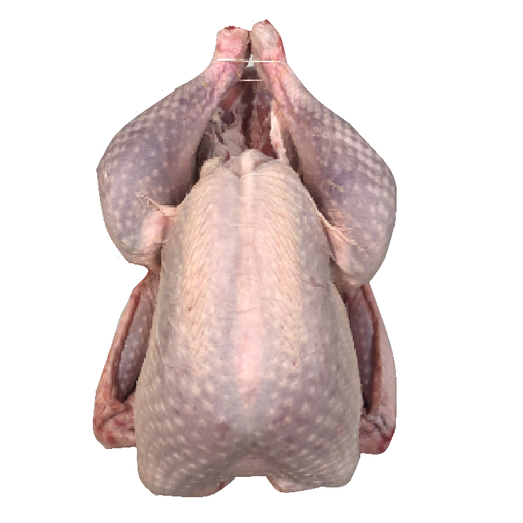 Local Free Range Bronze Turkey