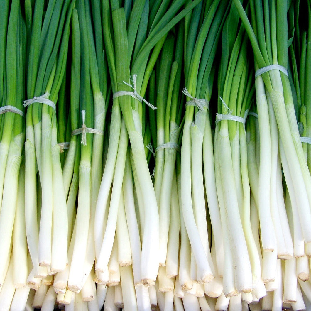 Fresh Scallions