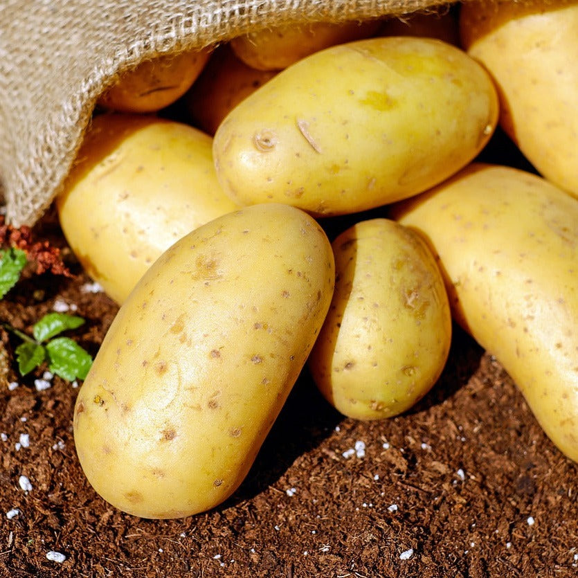 New Season Comber Potatoes - 1.5kg
